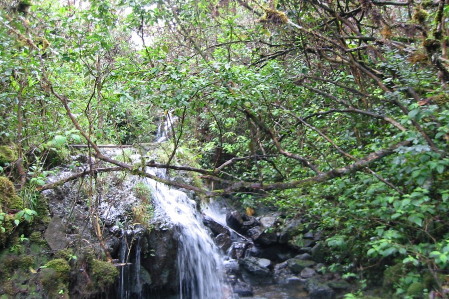 ../image/upper waikani falls.jpg